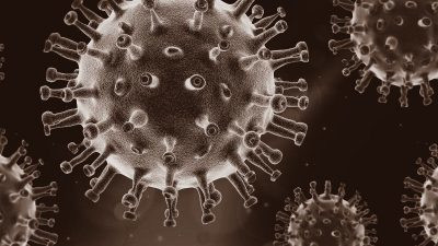 Impact coronacrisis op activiteiten ZE&GG